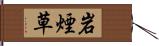 岩煙草 Hand Scroll