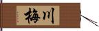 川梅 Hand Scroll