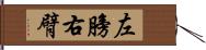 左膀右臂 Hand Scroll