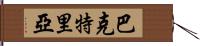 巴克特里亞 Hand Scroll