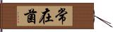 常在菌 Hand Scroll