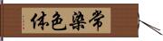 常染色体 Hand Scroll