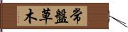 常盤草木 Hand Scroll