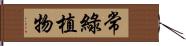 常綠植物 Hand Scroll