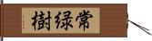 常緑樹 Hand Scroll