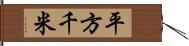 平方千米 Hand Scroll