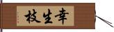 幸生枝 Hand Scroll