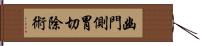 幽門側胃切除術 Hand Scroll