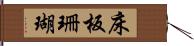 床板珊瑚 Hand Scroll