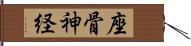 座骨神経 Hand Scroll
