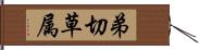 弟切草属 Hand Scroll