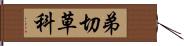 弟切草科 Hand Scroll