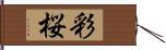 彩桜 Hand Scroll