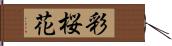 彩桜花 Hand Scroll