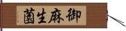 御麻生薗 Hand Scroll