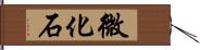 微化石 Hand Scroll