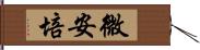 微安培 Hand Scroll