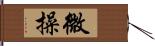 微操 Hand Scroll