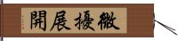 微擾展開 Hand Scroll