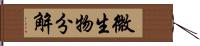 微生物分解 Hand Scroll