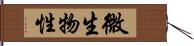 微生物性 Hand Scroll