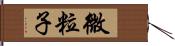 微粒子 Hand Scroll