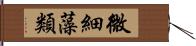 微細藻類 Hand Scroll