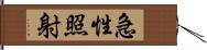 急性照射 Hand Scroll