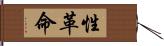 性革命 Hand Scroll
