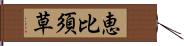 恵比須草 Hand Scroll