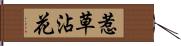 惹草沾花 Hand Scroll