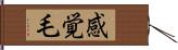 感覚毛 Hand Scroll