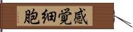 感覚細胞 Hand Scroll