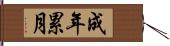 成年累月 Hand Scroll