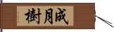 成月樹 Hand Scroll