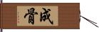 成骨 Hand Scroll