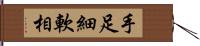 手足細軟相 Hand Scroll