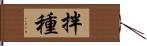 拌種 Hand Scroll