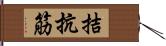 拮抗筋 Hand Scroll