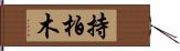 持柏木 Hand Scroll