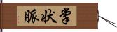掌状脈 Hand Scroll