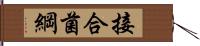 接合菌綱 Hand Scroll