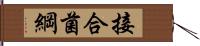 接合菌綱 Hand Scroll