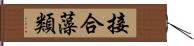 接合藻類 Hand Scroll