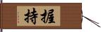 握持 Hand Scroll