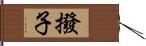 撥子 Hand Scroll