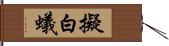 擬白蟻 Hand Scroll