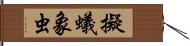 擬蟻象虫 Hand Scroll