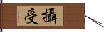 攝受 Hand Scroll