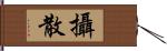 攝散 Hand Scroll